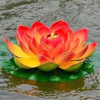 Mukesh Kumar Pandey