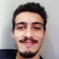 Joao Pedro de Araujo Paranhos