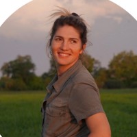 Tess Lainé