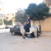 Mohamad Nour