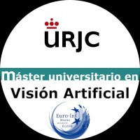 Director del Master Vision Artificial URJC