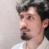 Ahmed J. Ali