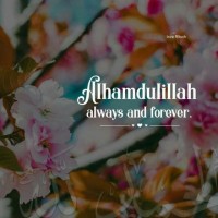 Aneeqa انیقہ