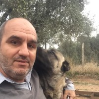 Ugur Baltacı