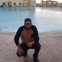 Abdelaziz Salem