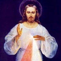 FRANCIS AMALDAS PILLAI