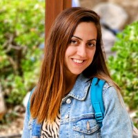 Adi Shmueli