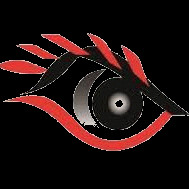 Safeguards Corporation