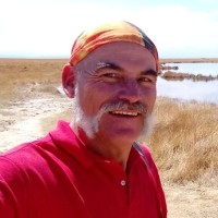 Gonzalo Villouta-Stengl