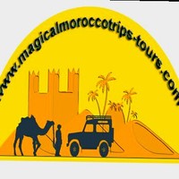magical morocco trips tours