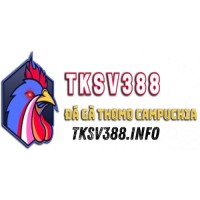 sv info
