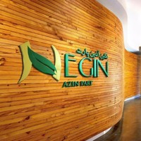 Negin Azinp