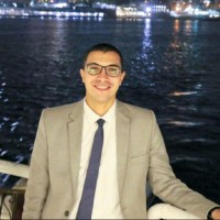 Mostafa Essam Badreldin (Mba)