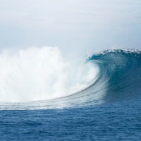 Blue Wave Search Group