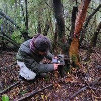 Javiera Fernanda Álvarez Méndez