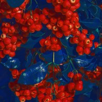 Wenlin Ma