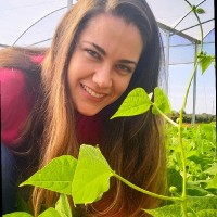 Isabella Mendonça Arruda