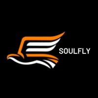 SOULFLY AEROSPACE TEAM