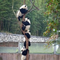 孟凡通