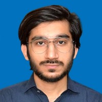 Ameer Hamza