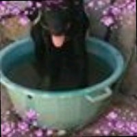 Consuelo López Tubio