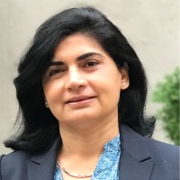 Dini Ajmani