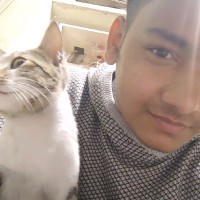 Faisal Khan