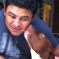 Victormarcial Jovial Caribbean Connection