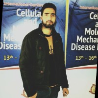 Aalim Maqsood Bhat