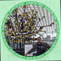 Burung Owl...( Hentu )