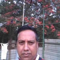 Mamun Rashid