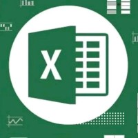 Excel Pro