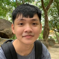 Anh Hoang Nguyen