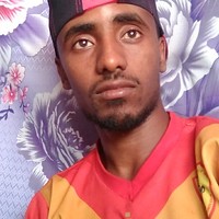 Shewit Haileselassie