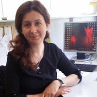 Arzu Taşyuvarlayan