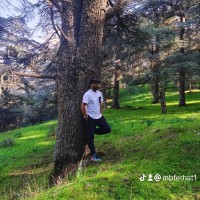 benferhat M.