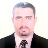 Dr. Mohamed S. Ali