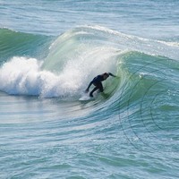 Brandon Marolla
