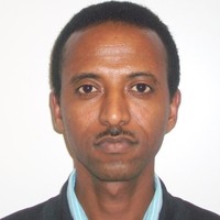 Mihret Abebe Woldemariam
