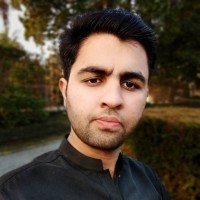 Hassan Wali