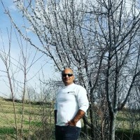 HADI Karami