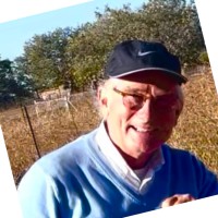 Ronald Vles