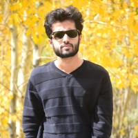 Muhammad Anees