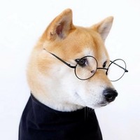 董树友