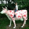 Ryan Lythgoe