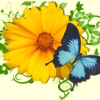Easter Enterprises LLC