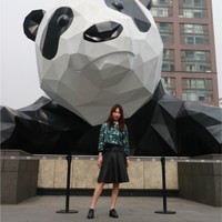乐普王宇