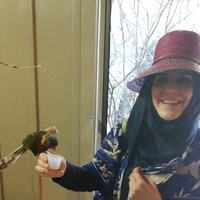 Dana Salami
