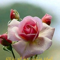 Shahid Sattar
