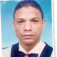 hassan karimi
